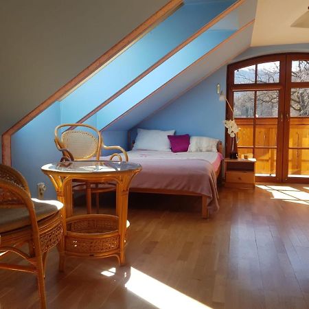 Apartament Intol Z Widokiem Na Sniezke Карпач Экстерьер фото